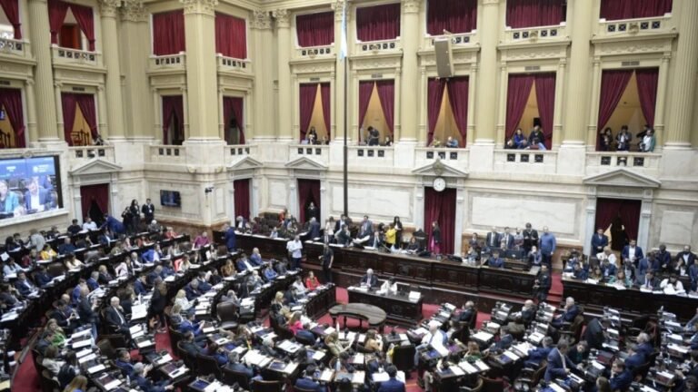 Avanza el debate del proyecto de la “Ley ómnibus” en el plenario de comisiones