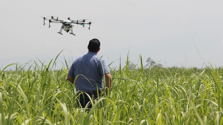 Agricultura familiar: Congreso campesino para marcar agenda