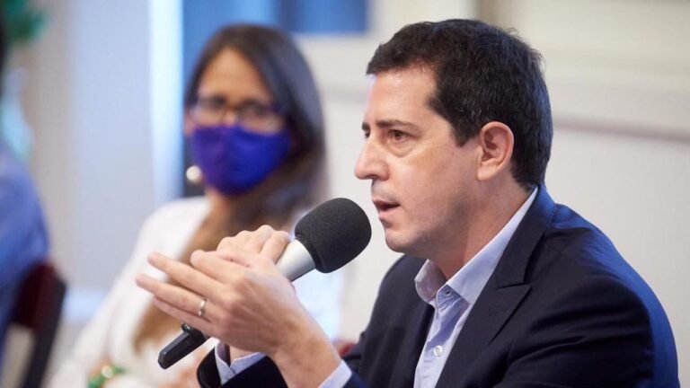 Wado de Pedro habló sobre su posible candidatura