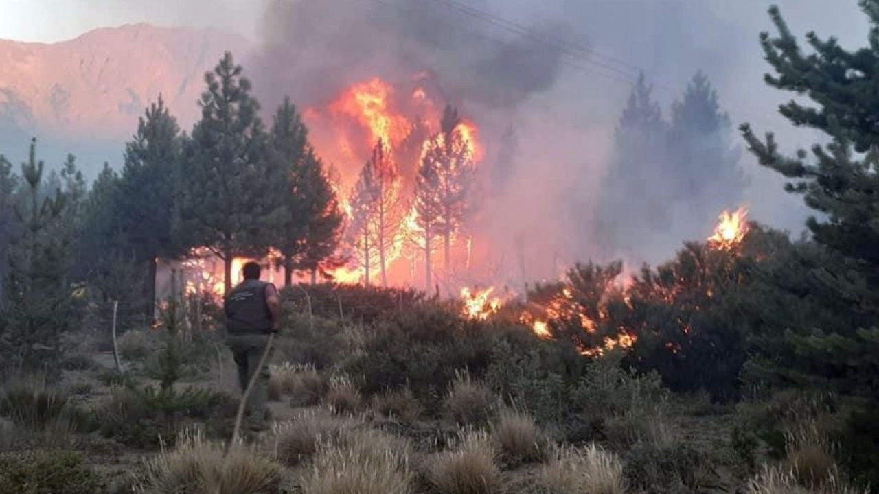 Incendio en El Bolsón: Se perdieron 100 hectáreas de vegetación nativa
