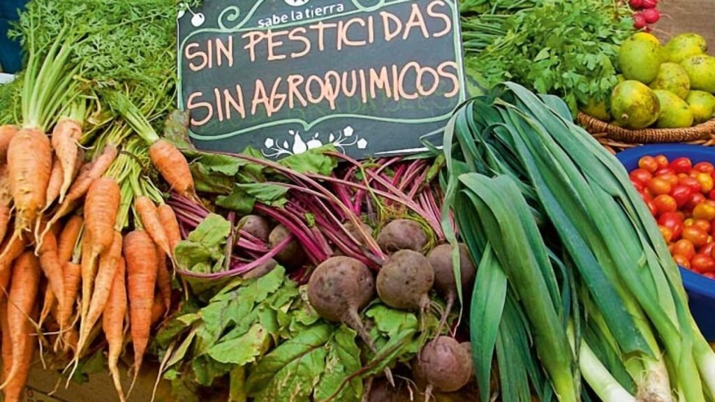 Avanza el proyecto para la promoción de productos orgánicos