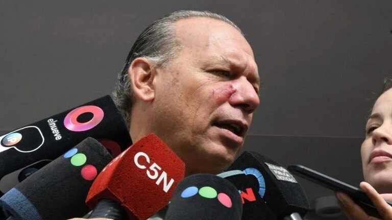 Berni denunció la participación de “agitadores del PRO” en la golpiza que recibió