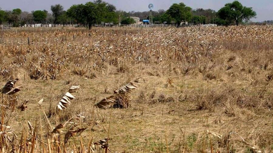 Declararon la emergencia agropecuaria en Formosa