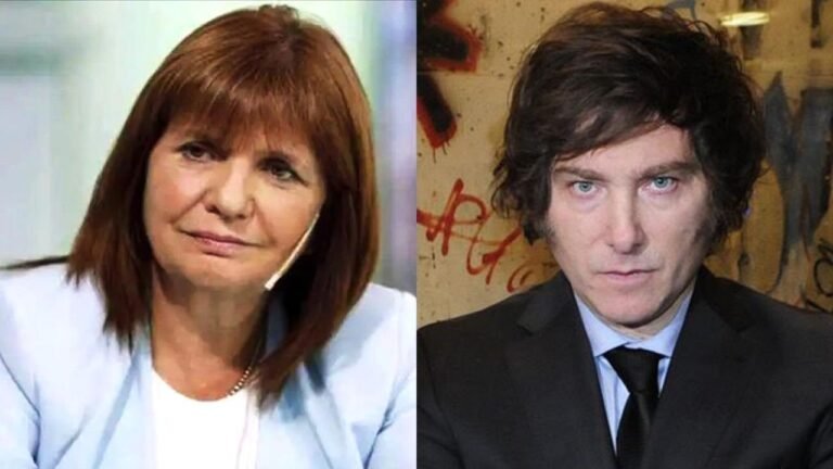 Patricia Bullrich afirmó que buscará una alianza legislativa con Milei