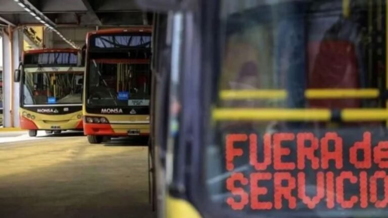 Los colectivos reducen 50% el servicio