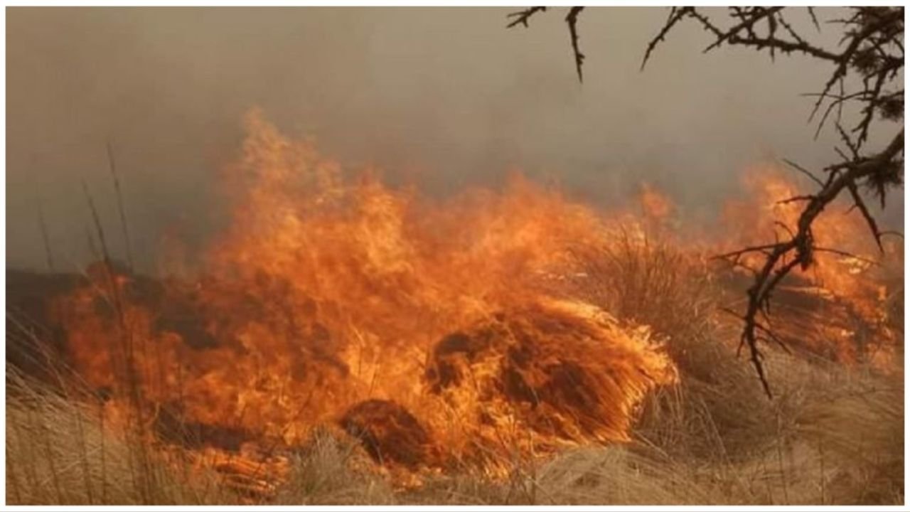 Jujuy registró más de 50 incendios en la última semana