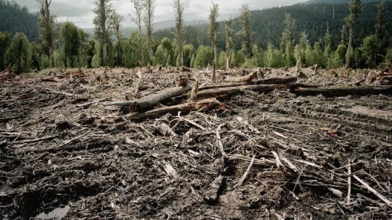 Llevan  a 32 Estados europeos a la justicia por su inacción frente al cambio climático