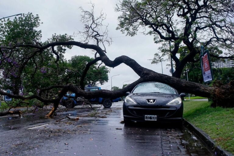 Lo que dejó el temporal
