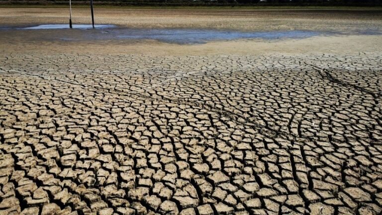 El evento de El Niño 2023-2024 será uno de los cinco más fuertes