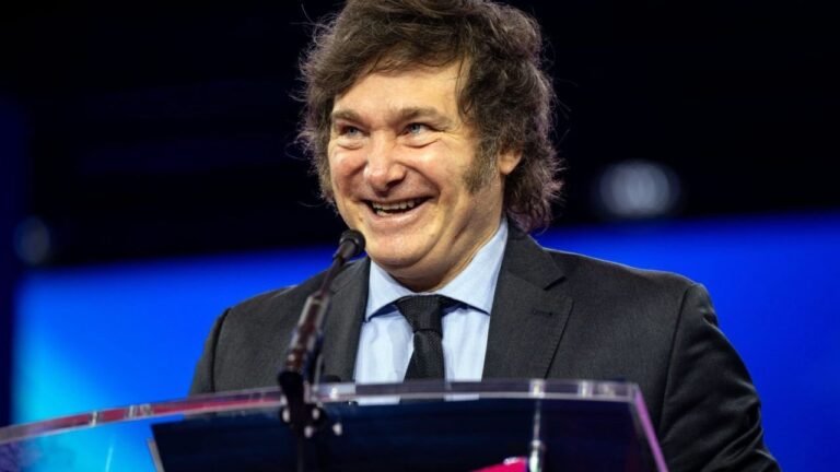 Milei: “La plata va a tardar en llegar a la gente”