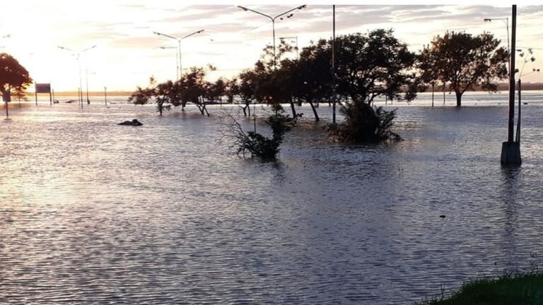 Corrientes: “Nos la estamos arreglando solos con la inundación”