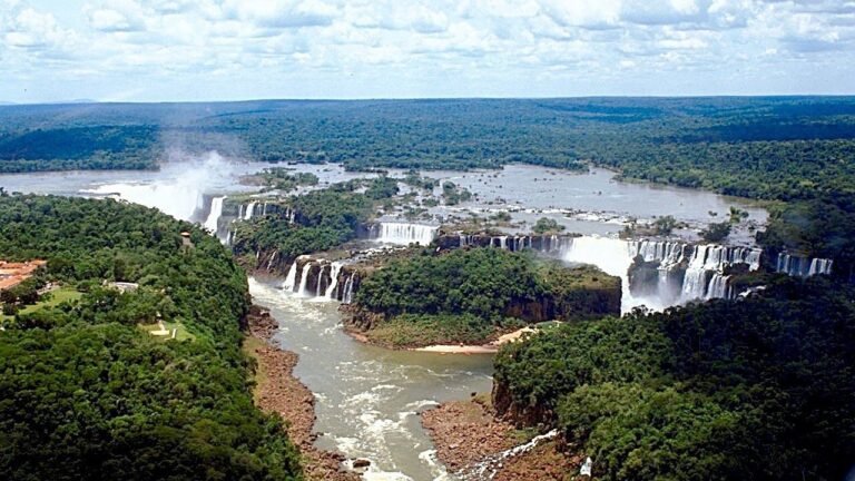 Por la Ley de Bosques la Nación le debe casi $500 millones a Misiones