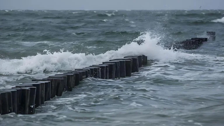 Distintas regiones de Argentina corren riesgo por la suba del nivel del mar