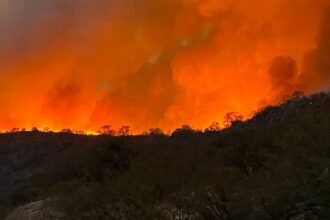 Desafíos ambientales 2025: acciones urgentes para nuestro futuro