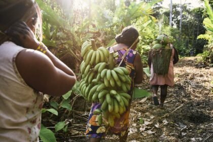 Mujeres en Latinoamérica: pilares de la conservación ecológica