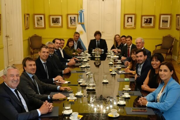 Radicalismo en crisis: Divisiones internas y desafíos en el Congreso
