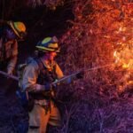 24 vidas perdidas en incendios de California: historias conmovedoras