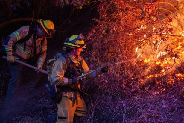 24 vidas perdidas en incendios de California: historias conmovedoras