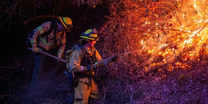 24 vidas perdidas en incendios de California: historias conmovedoras