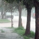 Alerta climática: lluvias intensas y granizo este 31 de diciembre