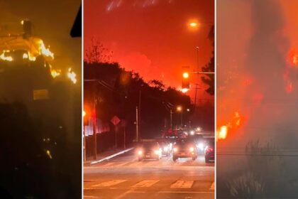 Argentinos en crisis: luchan por sobrevivir a incendios en Los Ángeles