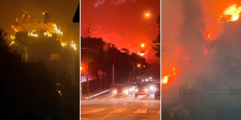 Argentinos en crisis: luchan por sobrevivir a incendios en Los Ángeles