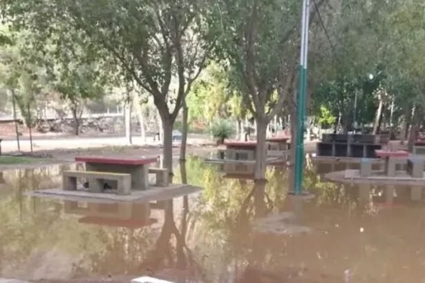 Asistencia en Ullum: Rutas y evacuación tras lluvias en San Juan