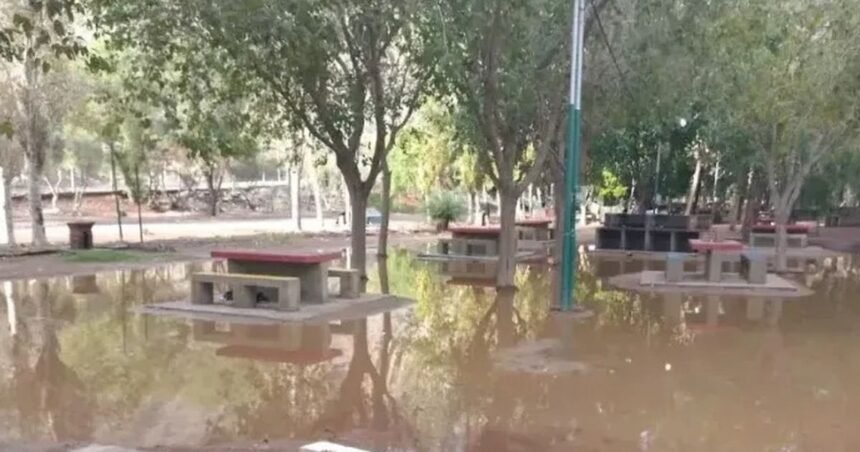 Asistencia en Ullum: Rutas y evacuación tras lluvias en San Juan