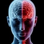 Aumenta tu energía: 7 hábitos para un cerebro activo