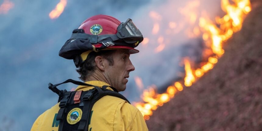 Causas de los incendios en California: negligencia o intencionalidad