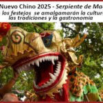 Celebración del Año Nuevo Chino 2025 CABA