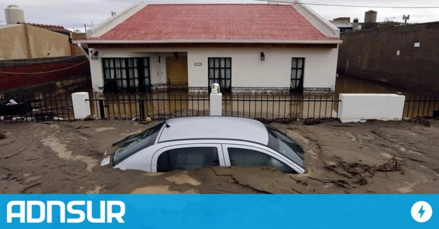 Condonación de penas en la causa Emergencia Climática: ¿Por qué?