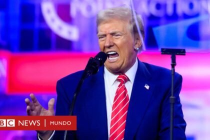 Contrapesos al poder de Trump en la Casa Blanca