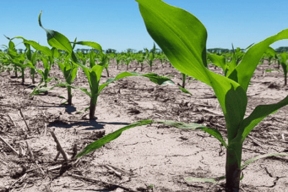 Efectos de La Niña en enero: ¿qué esperar del clima?