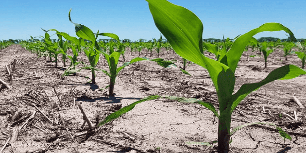 Efectos de La Niña en enero: ¿qué esperar del clima?