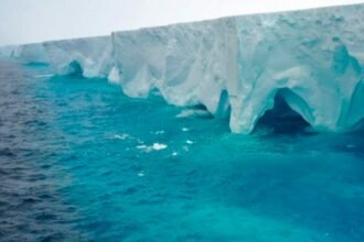 El gigantesco iceberg más grande del mundo avanza hacia una isla llena de pingüinos en la Antártida: ¿qué consecuencias traerá este fenómeno?