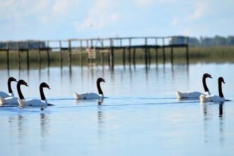 Escapada de verano imperdible en Ruta 2, Provincia escondida