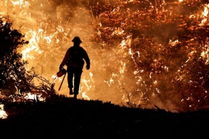 Falta de medidas preventivas ante incendios en Los Ángeles