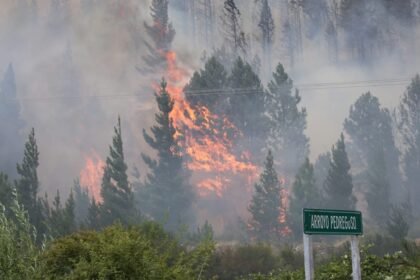 Gobernador de Chubut culpa a mapuches por incendios