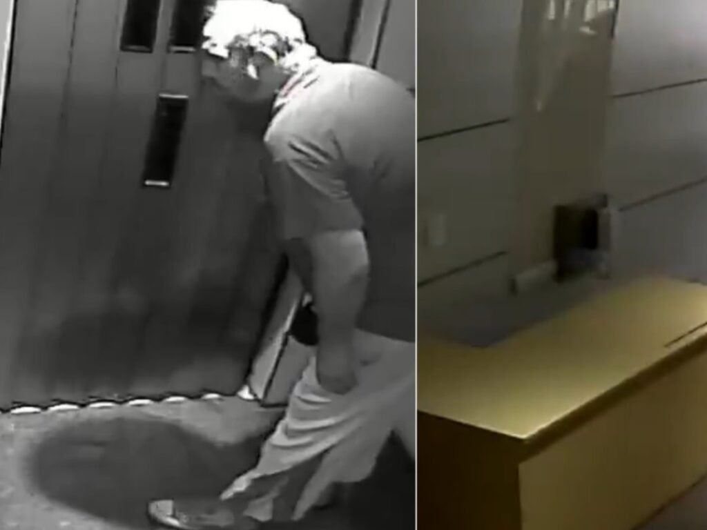 Hombre de Balvanera denunciado por maltrato animal y amenazas