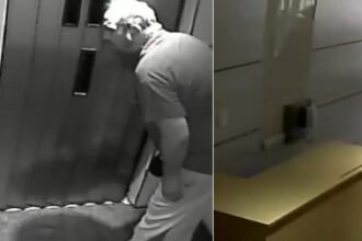 Hombre de Balvanera denunciado por maltrato animal y amenazas
