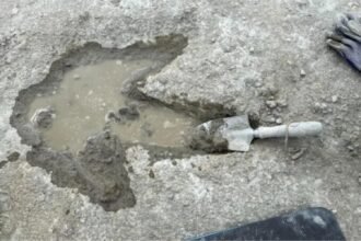 Huellas de dinosaurios descubiertas en autovía del Jurásico