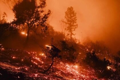 Incendios en California: Impactantes imágenes de la devastación