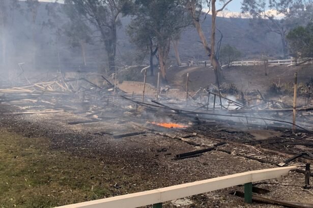 Incendios en California arrasan escuela icónica y sinagoga histórica