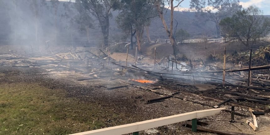 Incendios en California arrasan escuela icónica y sinagoga histórica