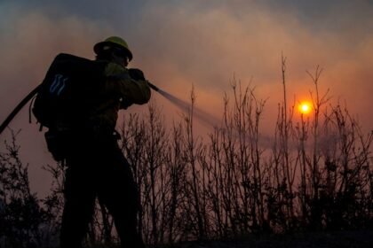 Incendios en Los Ángeles: estrategias para mitigar daños y salvar vidas