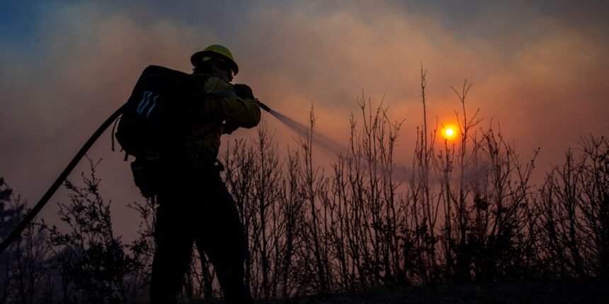 Incendios en Los Ángeles: estrategias para mitigar daños y salvar vidas