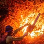 Incendios transformarán el futuro de Los Ángeles drásticamente