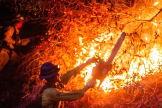 Incendios transformarán el futuro de Los Ángeles drásticamente