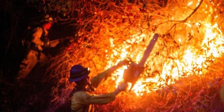 Incendios transformarán el futuro de Los Ángeles drásticamente